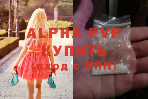 индика Арсеньев